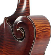 Lawrence Smart mandocello